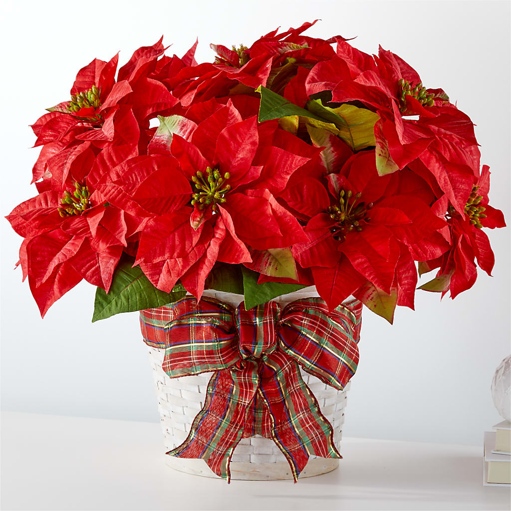 Happiest Holidays Poinsettia – ELIZABETH'S BLUE GARDEN LLC, Raritan NJ
