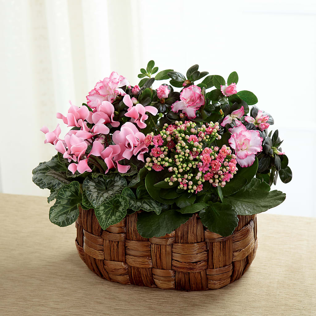 Pink Assortment – ELIZABETH'S BLUE GARDEN LLC, Raritan NJ