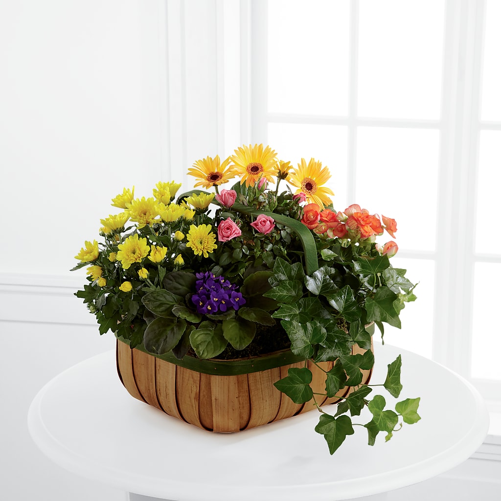 Gentle Blossoms Basket – ELIZABETH'S BLUE GARDEN LLC, Raritan NJ