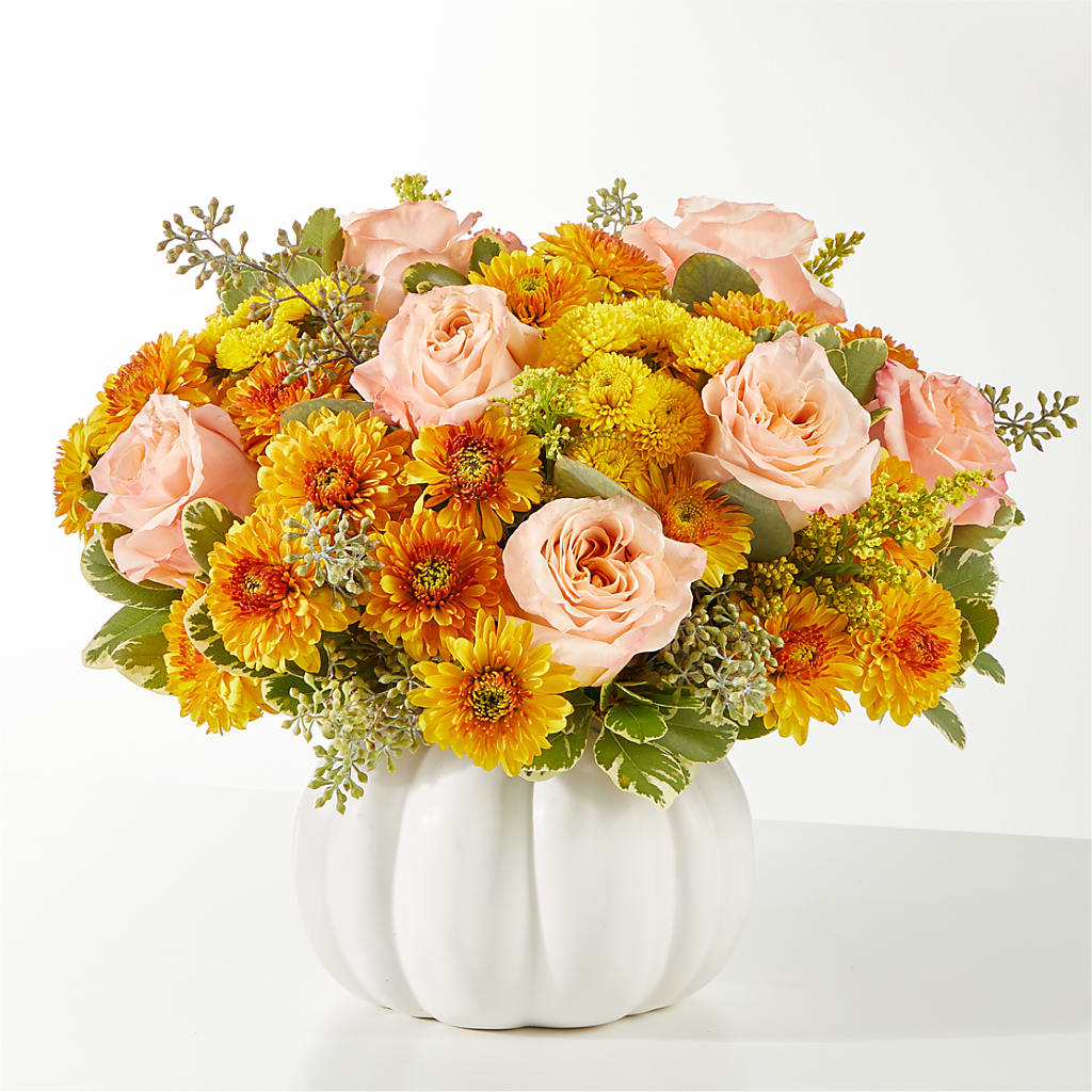Peachy Pumpkin – ELIZABETH'S BLUE GARDEN LLC, Raritan NJ