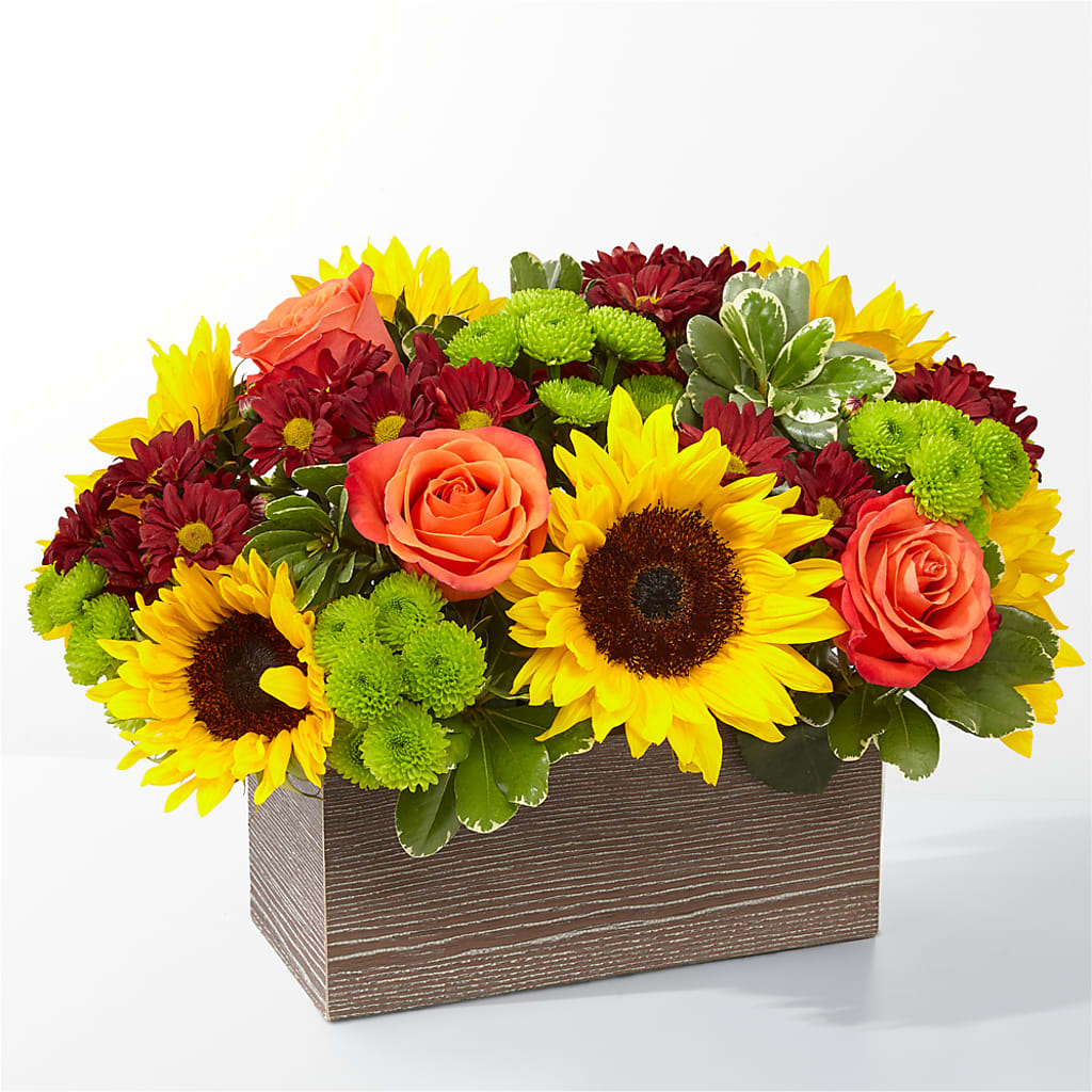 Happy Harvest Garden – ELIZABETH'S BLUE GARDEN LLC, Raritan NJ