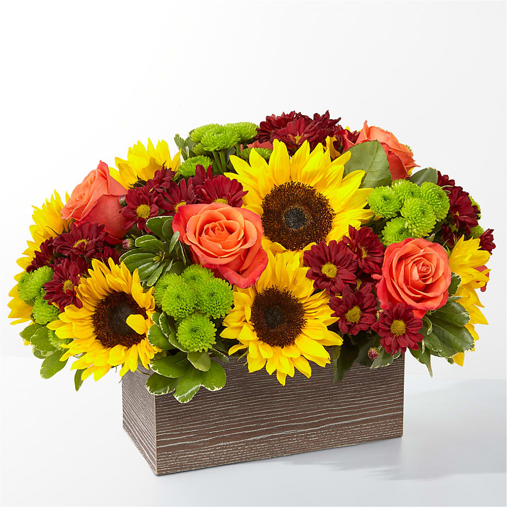 Happy Harvest Garden – ELIZABETH'S BLUE GARDEN LLC, Raritan NJ
