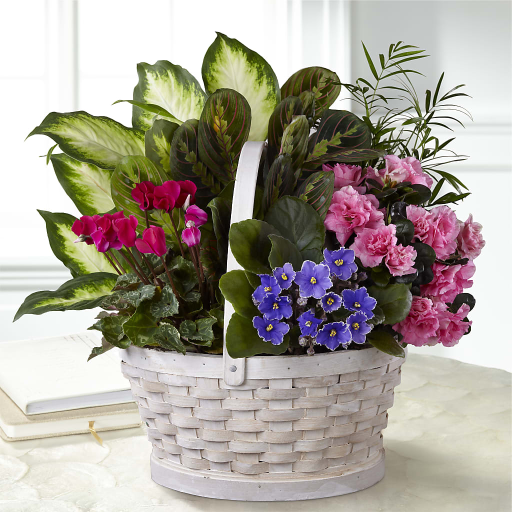 Peaceful Garden Planter – ELIZABETH'S BLUE GARDEN LLC, Raritan NJ