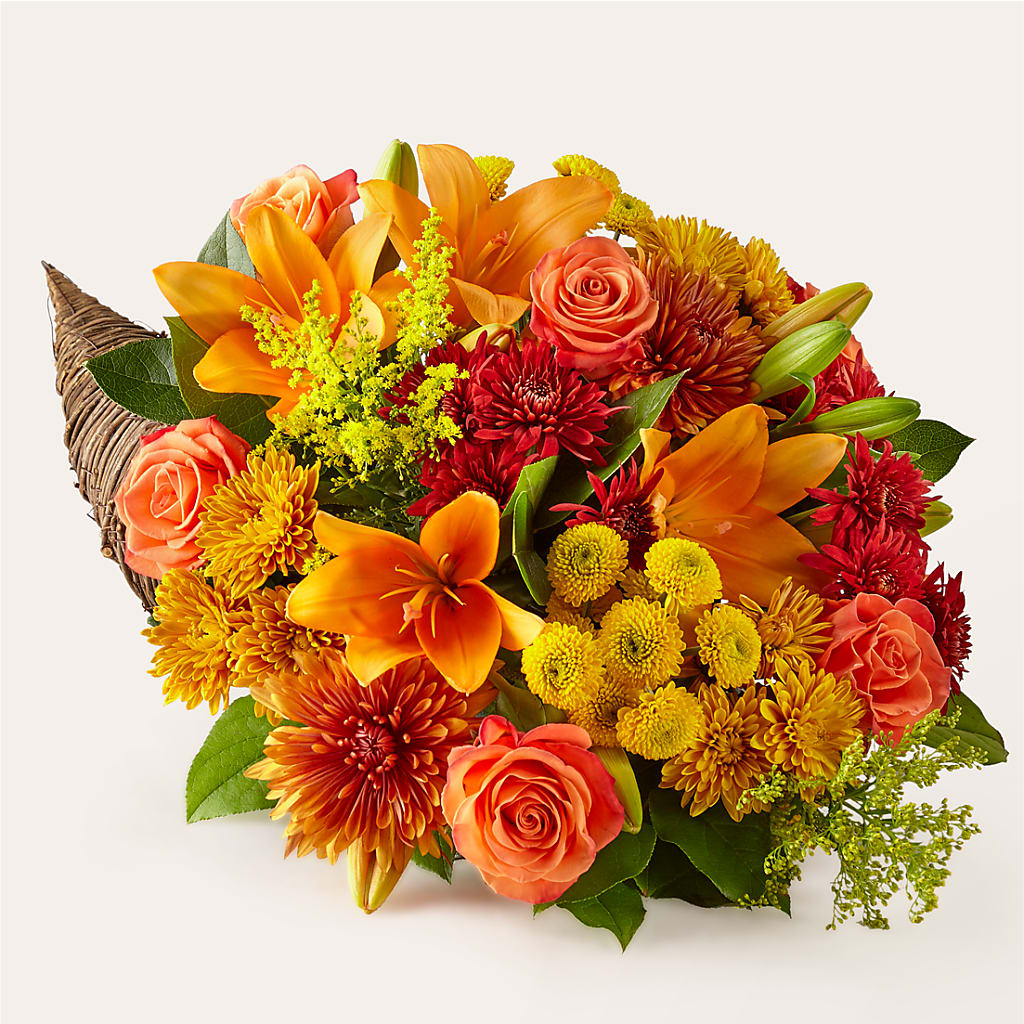 Feast of Color Cornucopia – ELIZABETH'S BLUE GARDEN LLC, Raritan NJ