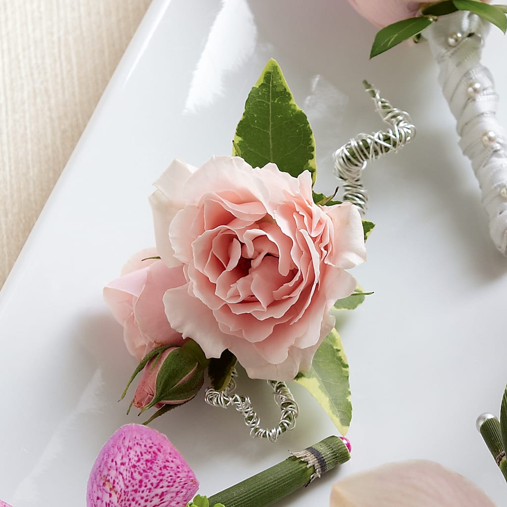 Pink Spray Rose Boutonniere – ELIZABETH'S BLUE GARDEN LLC, Raritan NJ