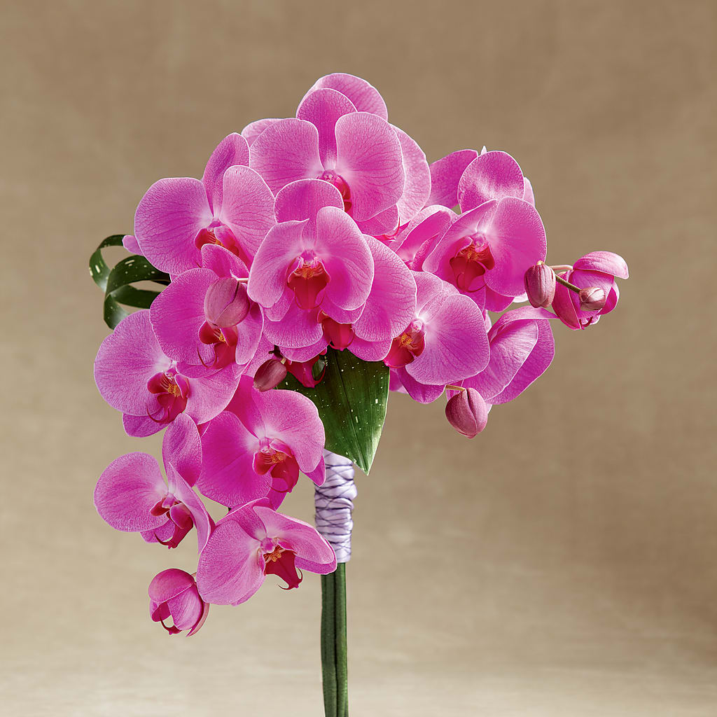 Glorious Bouquet – ELIZABETH'S BLUE GARDEN LLC, Raritan NJ
