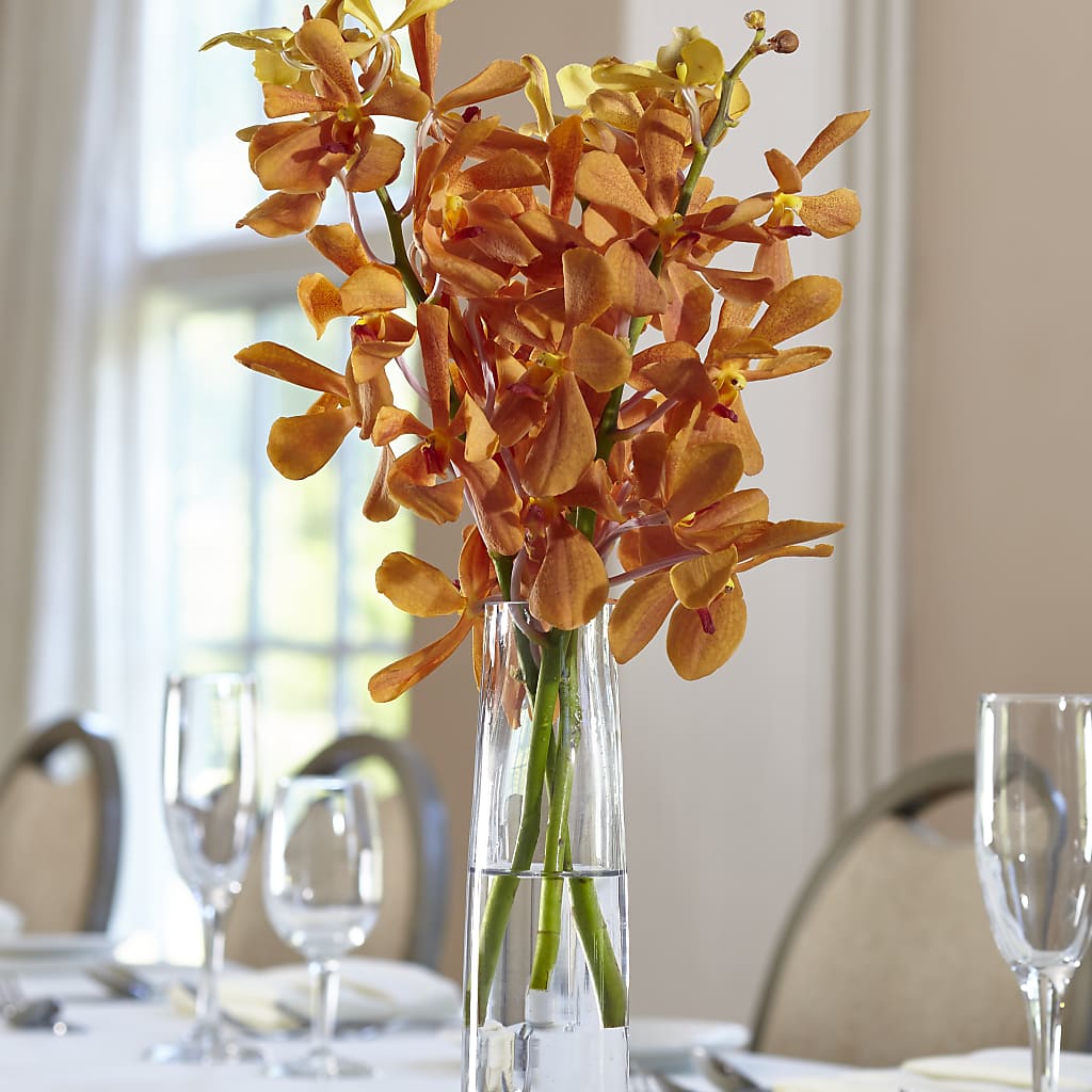 Orange Mokara Bud Vase – ELIZABETH'S BLUE GARDEN LLC, Raritan NJ