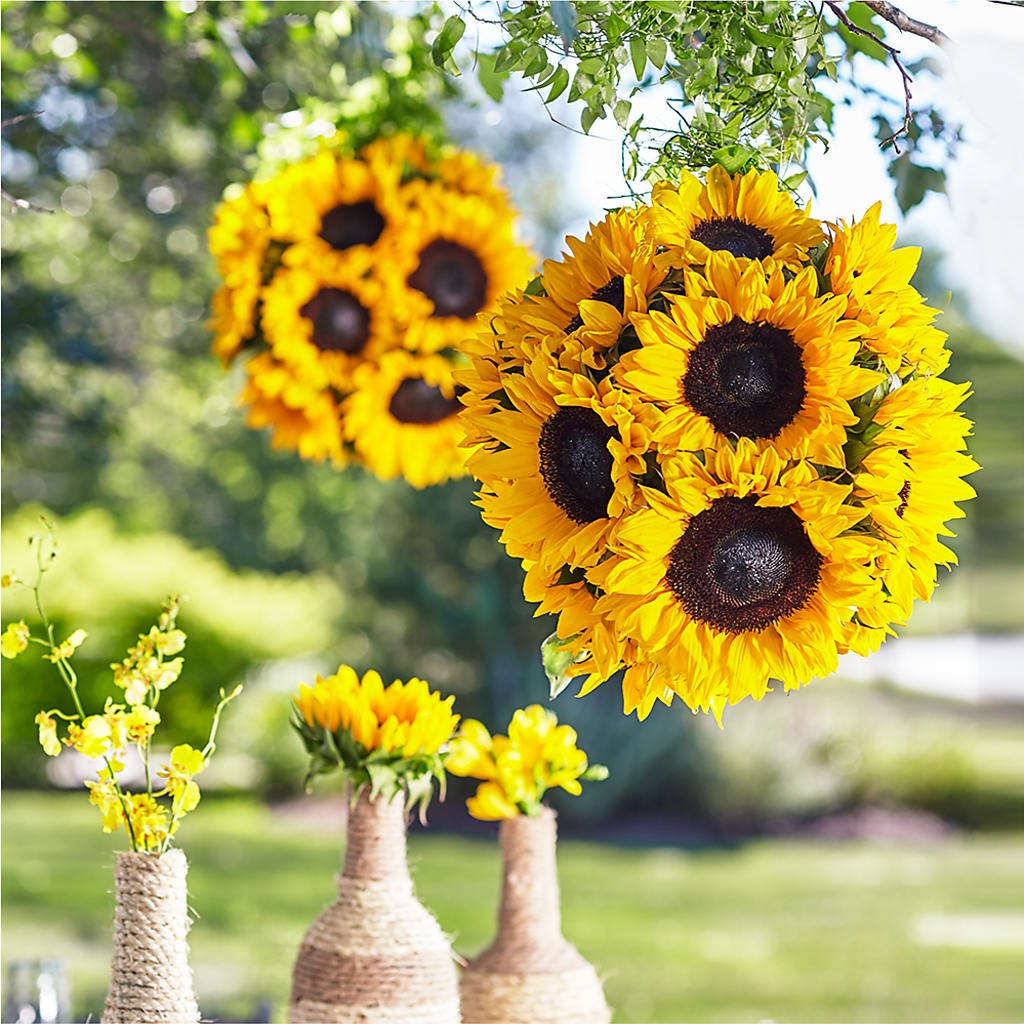 Sublime Garden Hanging Arrangement – ELIZABETH'S BLUE GARDEN LLC, Raritan NJ