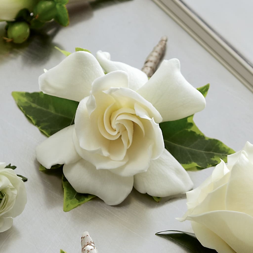 Gardenia Boutonniere – ELIZABETH'S BLUE GARDEN LLC, Raritan NJ