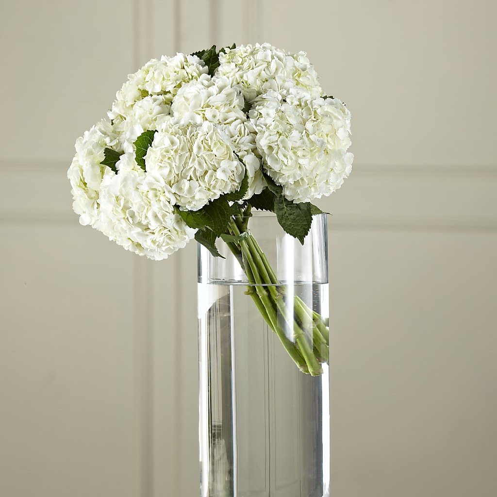White Hydrangea Hand-Tied Bouquet – ELIZABETH'S BLUE GARDEN LLC, Raritan NJ