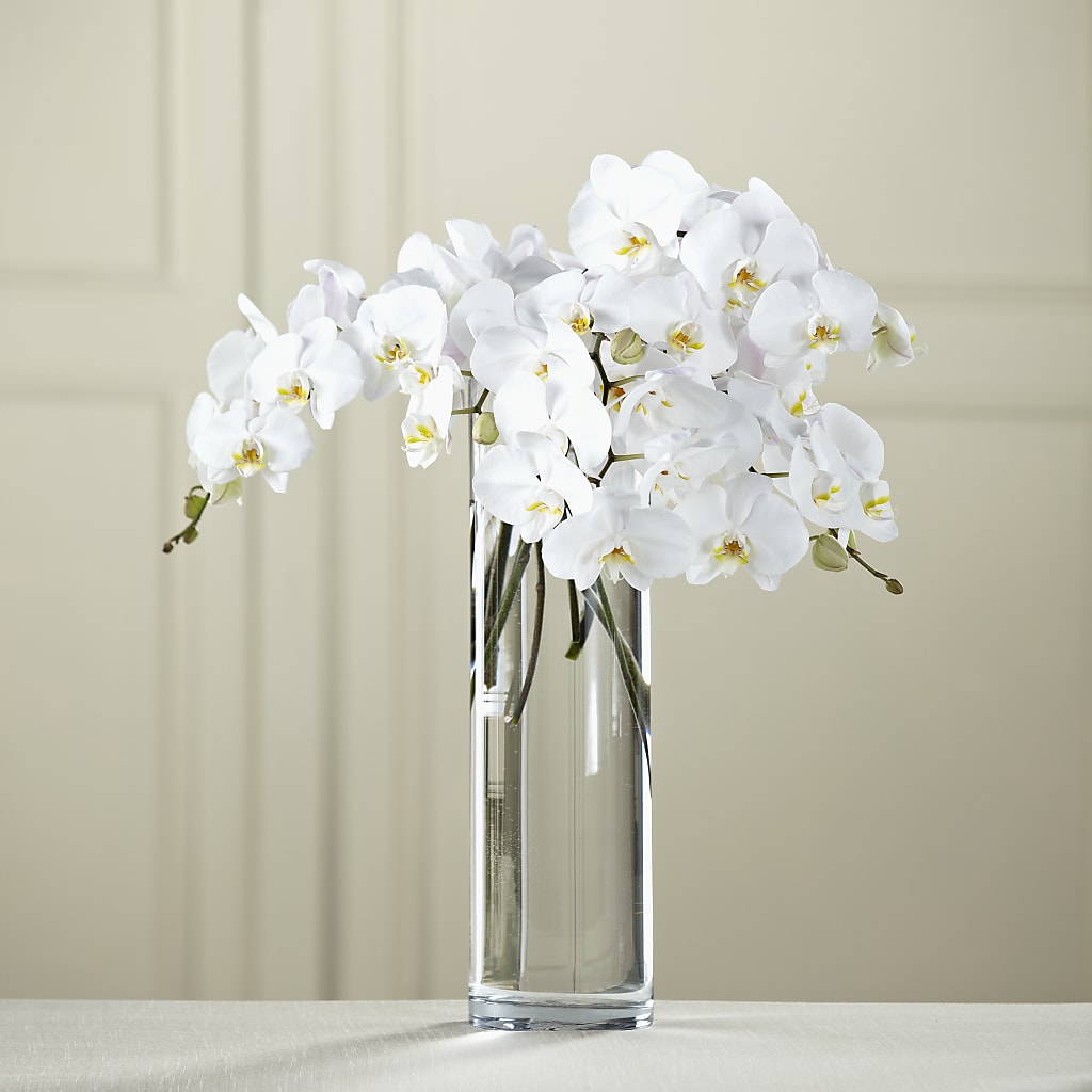 White Phalaenopsis Bouquet – ELIZABETH'S BLUE GARDEN LLC, Raritan NJ