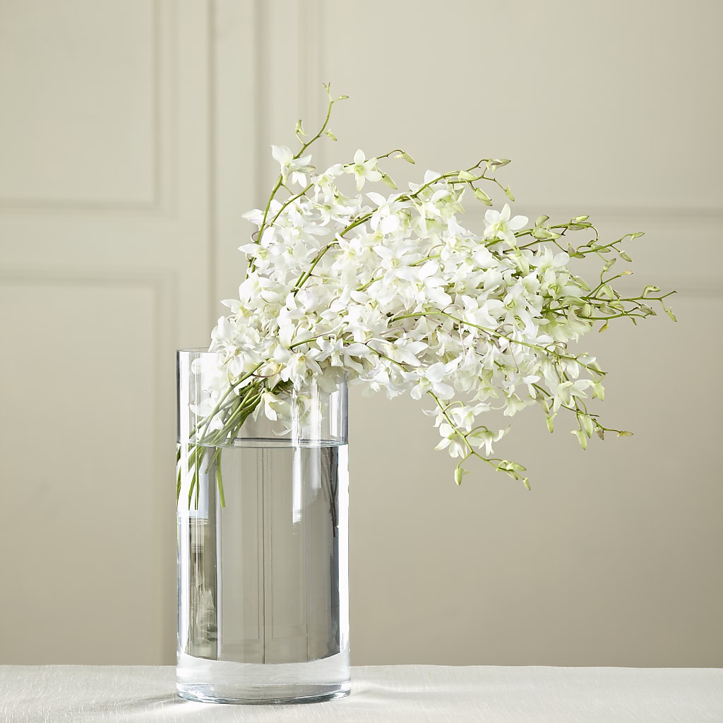White Dendrobium Bouquet – ELIZABETH'S BLUE GARDEN LLC, Raritan NJ