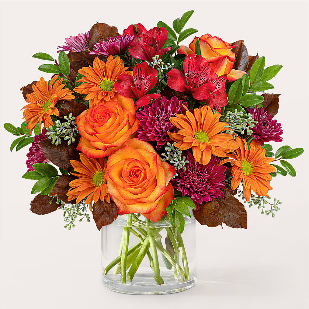 Bouquet Matinal Tonifiant