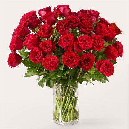 The One Red Rose Bouquet – ELIZABETH'S BLUE GARDEN LLC, Raritan NJ