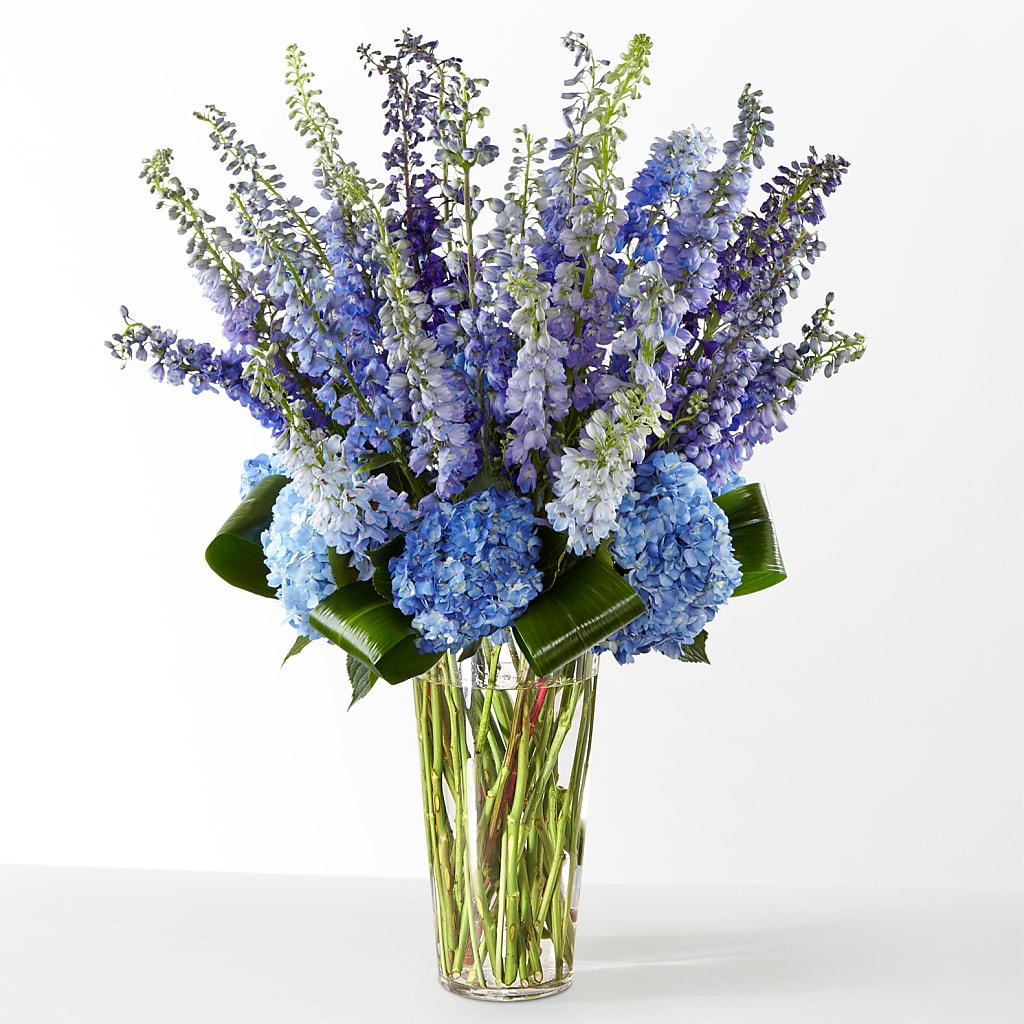 The Editorial – ELIZABETH'S BLUE GARDEN LLC, Raritan NJ